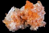 Orange Creedite Crystal Cluster - Durango, Mexico #79369-1